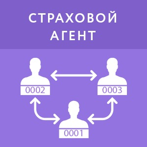 картинка Страховой агент (1 год) магазин ККМ.ЦЕНТР являющийся официальным дистрибьютором в России