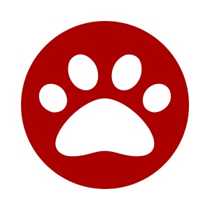 картинка Прокачка Чека - Логотип (1 год) магазин ККМ.ЦЕНТР являющийся официальным дистрибьютором в России