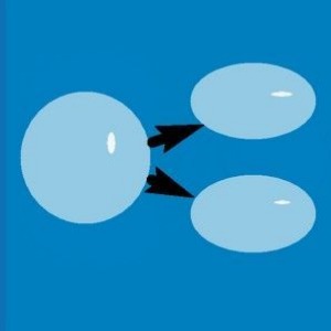 картинка Нет Объединению (1 год) магазин ККМ.ЦЕНТР являющийся официальным дистрибьютором в России